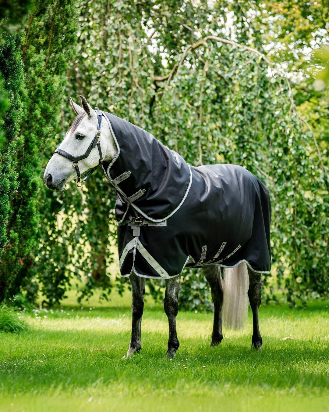 blockValue.c9b52c73-8b9a-4a64-94cf-255c80cea107.cards.0.imagebg_alt