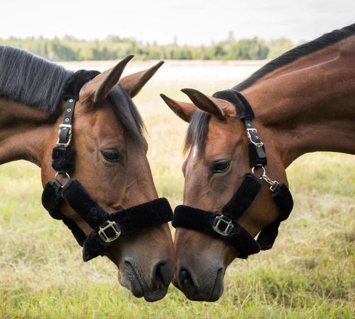 blockValue.4a7c3c1a-2b76-435b-960a-483e11768aa3.image_alt