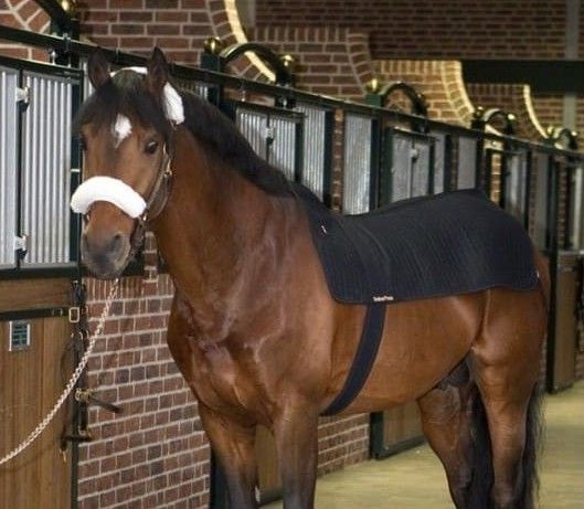 blockValue.c9b52c73-8b9a-4a64-94cf-255c80cea107.cards.3.imagebg_alt